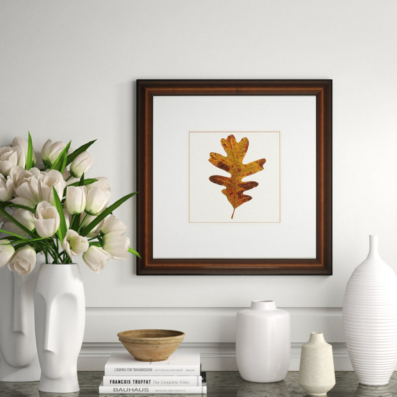 Nature Leaves III Print