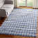 Bester Hand Woven Cotton Ikat Rug