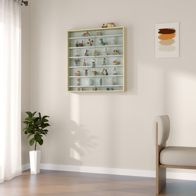 Display Cabinet
