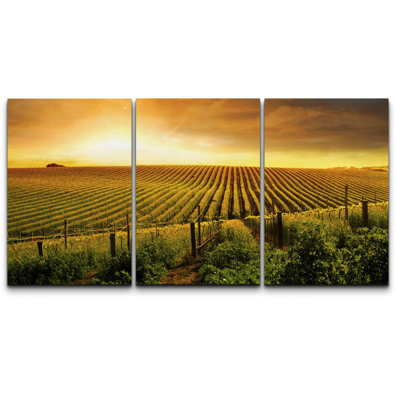a Beautiful Sun Over a Barossa Vineyard Modern Wall Decor, Wrapped Canvas, 24" H x 48" W