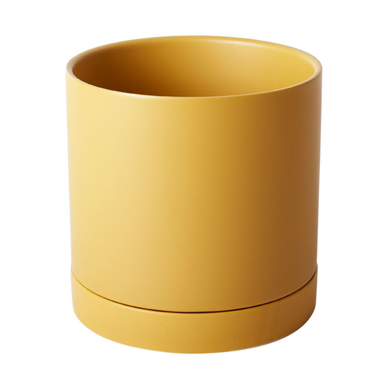 Pot de fleurs en céramique Carlotta, H 7 po x l 7 po x P 7 po, Ocre