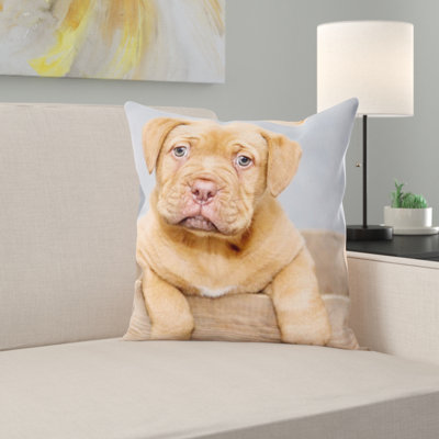 Dogue De Bordeaux Throw Pillow