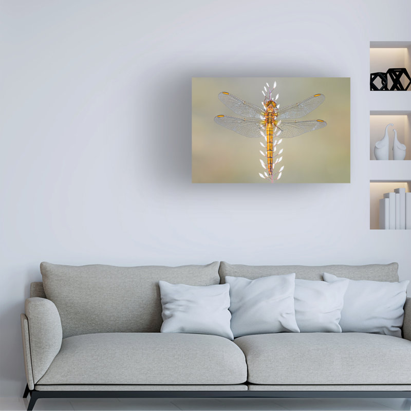 Art sur toile, libellule Petar Sabol, H 12 po x l 19 po