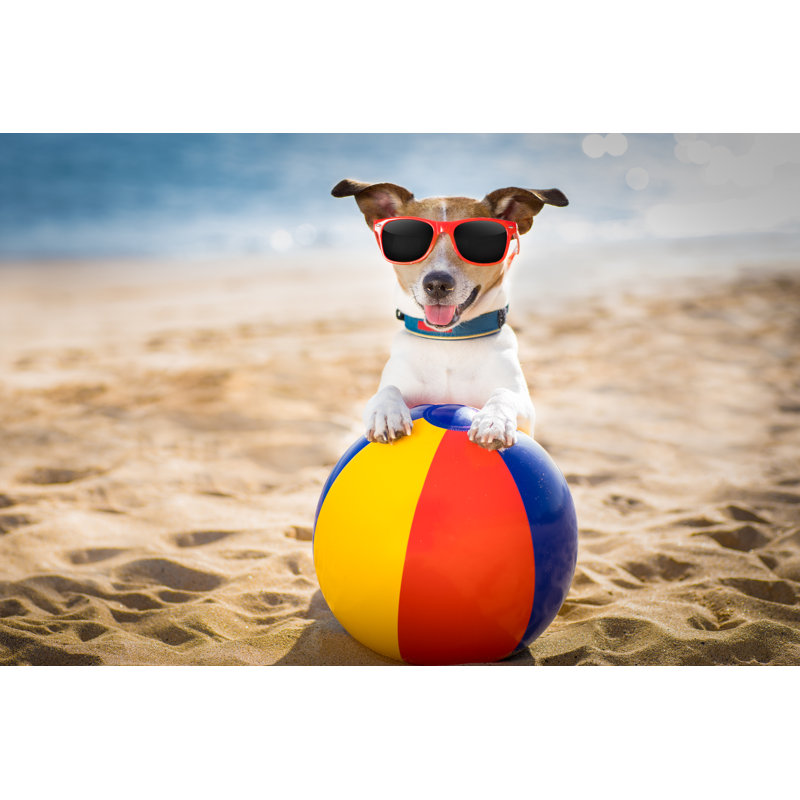 Dog At The Beach And Ocean With Plastic Ball by Damedeeso - Wrapped Canvas Print, 30cm H x 46cm W x 3.8cm D