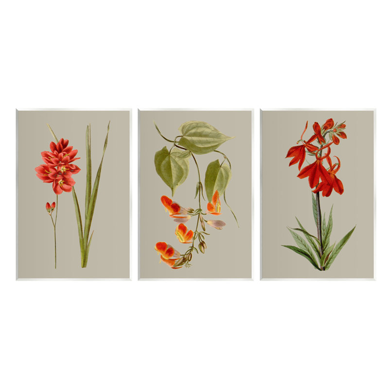 Ensemble de 3 plaques murales Woodland Flower Study par Vision Studio, H 15 po x l 10 po