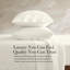 Ensemble de taies d'oreiller décoratives en satin 100% coton blanc cassé blanc cassé 2 pièces-114622983-117533745