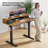 Adjustable Electric Standing Desk with Double Drawers, 48"x24" Sit Stand Up Desk with Storage Shelf, 3 Memory Presets, for Home Office-381502375-381502372