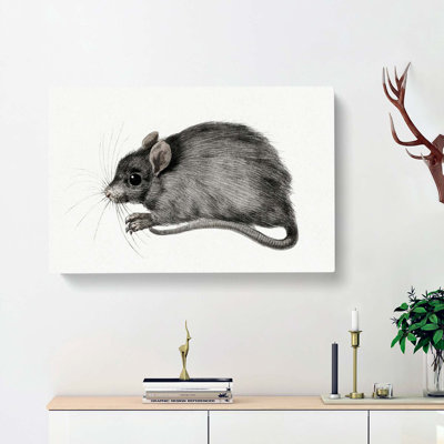 A Mouse by Jean Bernard - Wrapped Canvas Painting