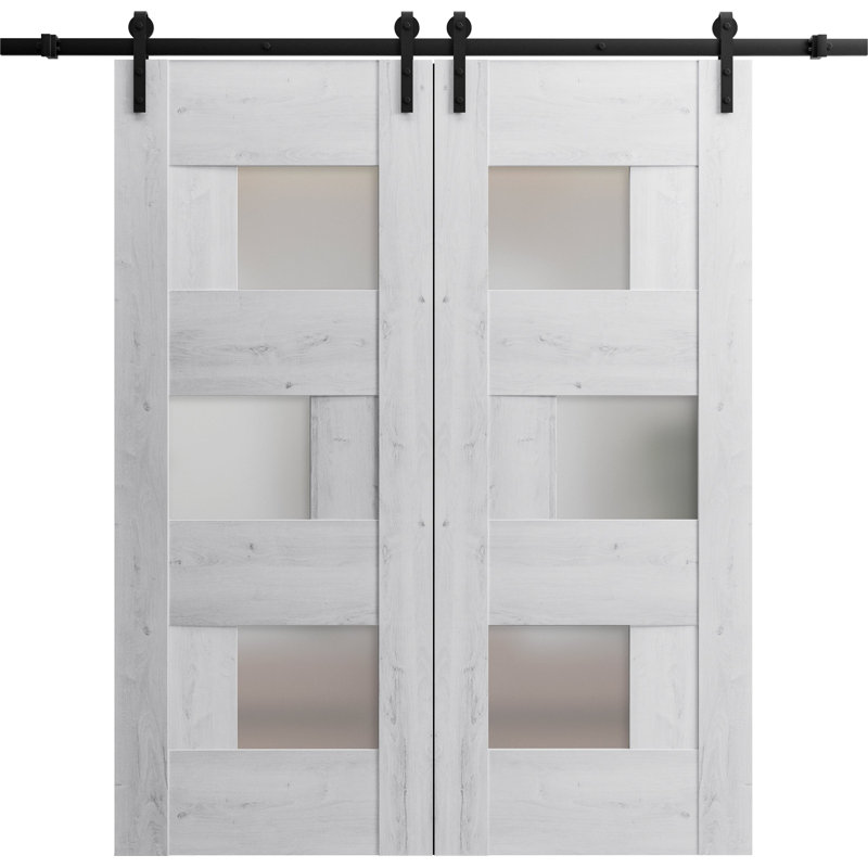 Porte de grange double robuste | Sete 6933 noir mat avec verre givré | Ensemble de 13 cintres lourds pour rail | Portes intérieures solides