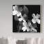 «Dogwood Black and White» par Dosta, impression sur toile tendue-29226911