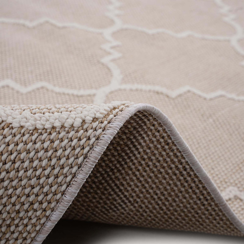 Collection Trellis Indoor/Outdoor Area Rug, Rectangle 5'3" x 7'6"