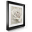 «Dreamy I», ensemble de 2 reproductions d'art encadrées-1304603375-1237090234-1237090238