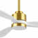 Gianick Ceiling Fan with LED Lights