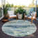 Aleighna Area Rug with Non-Slip Backing