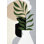 Modern Botanical 6 Print