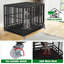 Caisse pour chien