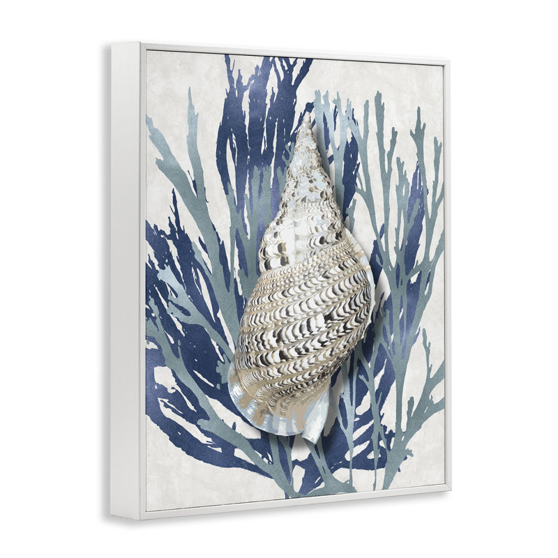 «Shell Coral Blue Beach» par Caroline Kelly - reproduction d'art, Giclée encadrée blanc bord de mer, H 20 po x l 16 po