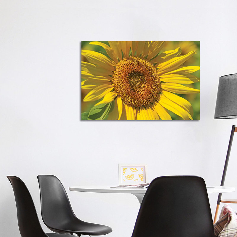 Golden Sunflower by Brian Wolf - Wrapped Canvas Rectangle Print, 101.6 cm H x 66.04 cm W x 1.91 cm D
