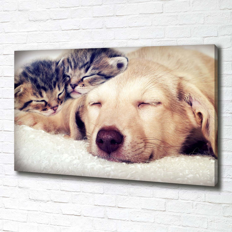 Puppy And Cats - Wrapped Canvas Print