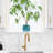 5.5" Ceramic Flower Planter, Ceramic Pot Planter, Plant Home Décor,-114194465