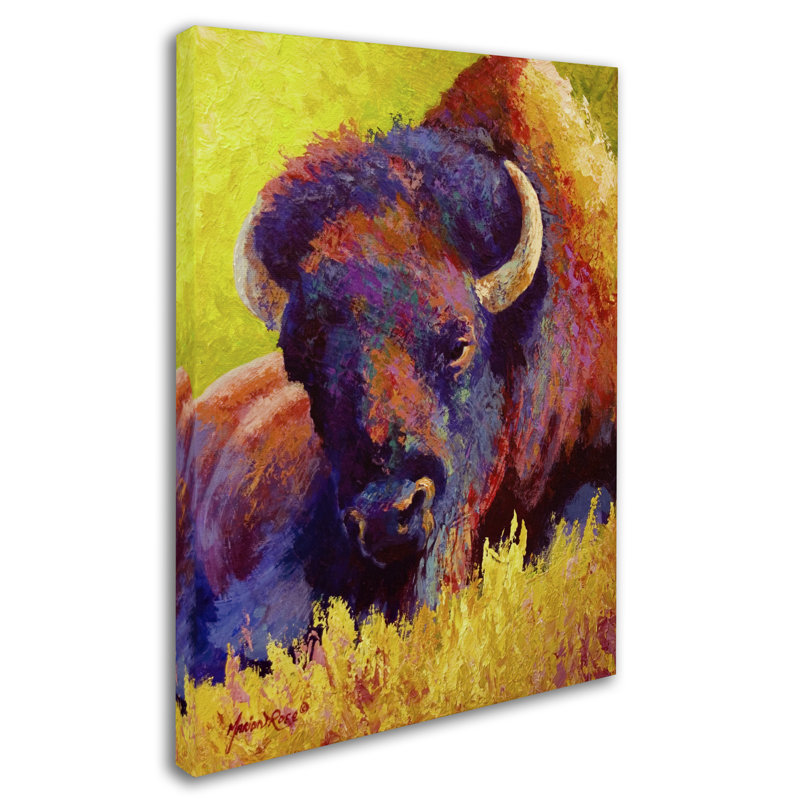 « intemporelle rites bison », reproduction sur toile tendue, H 19 po x l 14 po x P 2 po