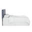 Edford Upholstered Headboard-20471107