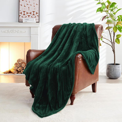 Heated Blanket Electric Blanket Quee Heating Blanket With Dual Control 9 Heating Levels 10 Timer Modes Auto-Off Fast Heating Overheat Protection ETL Certified Machine Washable Gift