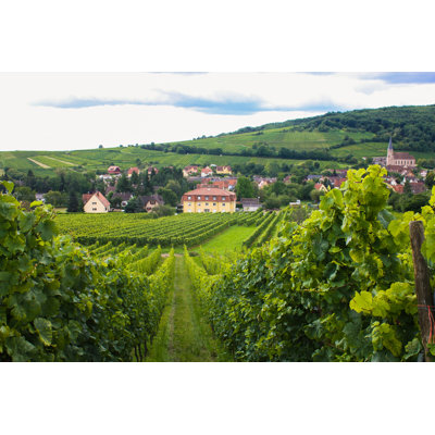 Alsace Wine Road by DesmoHolic - Wrapped Canvas Print