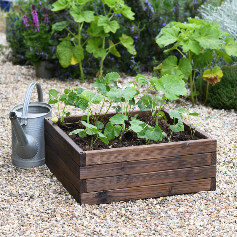 Ayube Wood Raised Garden Bed, 22.50cm H x 60cm W x 60cm D