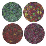 Mariposa Coaster
