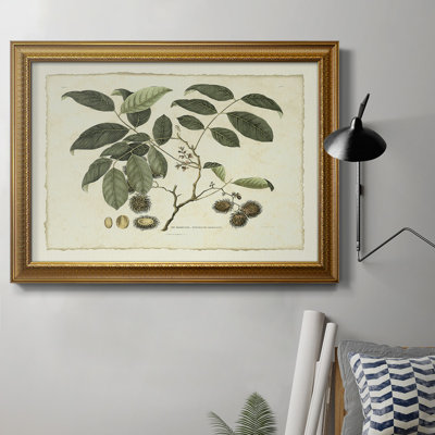 " Delicate Botanical III "