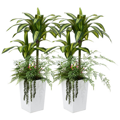 Adcock 48" Dracaena Tree in Decorative Vase