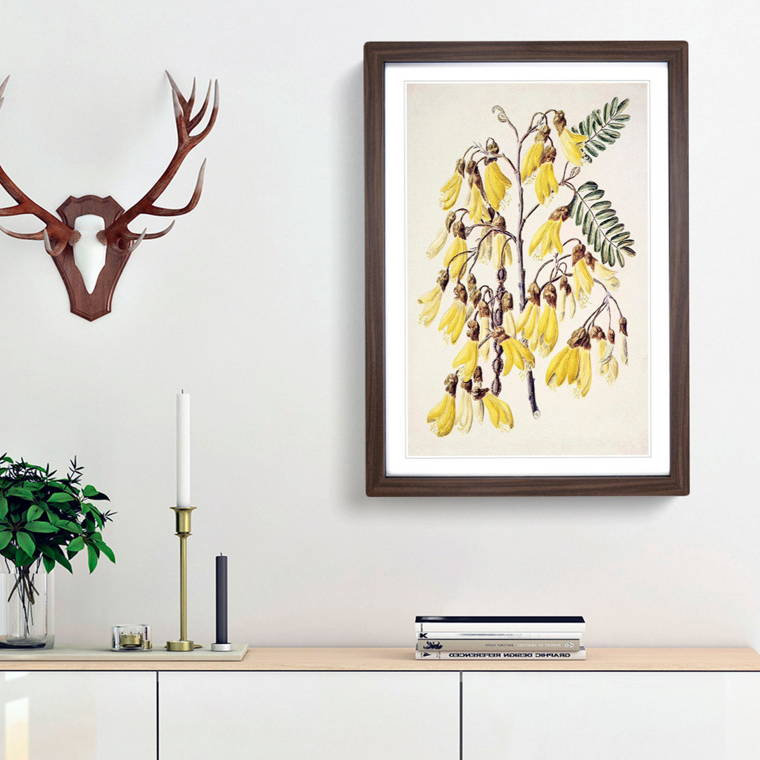 Kowhai Flowers by Sarah Featon - Picture Frame Art Print