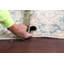 Tapis traditionnel délavé discret 10 x 13