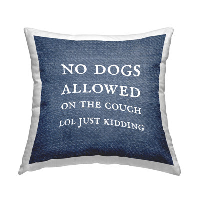 Throw Pillow
