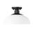Yep by Golden Lighting Levitt 1-light Outdoor Ceiling in Natural Black and Natural White shade-92389152