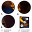 Décoration murale Harricharan-87836956