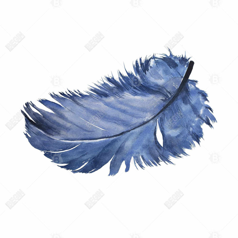 «Plume bleue aquarelle»