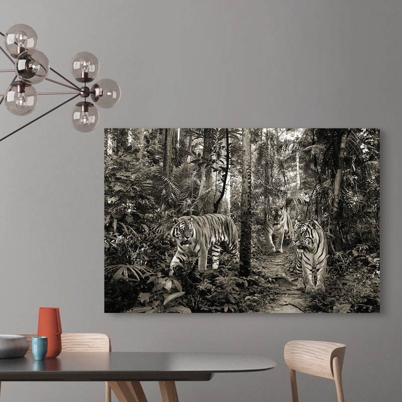 Bengal Tigers (BW) - Wrapped Canvas Print, 50cm H x 70cm W x 4cm D