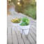 Plante grasse de bureau en pot-33652215