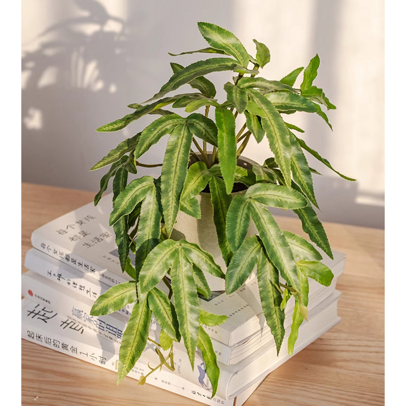 Simulation créative de plantes en pot