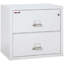 Fireproof 2 - Drawer File Cabinet-221777-332636-12136701