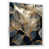 White Floater Framed Canvas