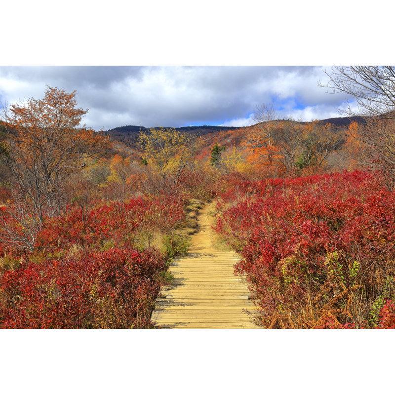 Flintwood Graveyard Fields 1 Piece Wrapped Canvas Wall Art, 51cm H x 76cm W x 3.8cm D
