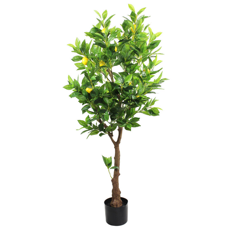 152cm Tree
