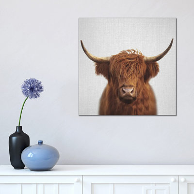Highland Cow by Gal Design - Print on Canvas
