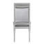 Ensemble de deux chaises d'appoint en tissu platine