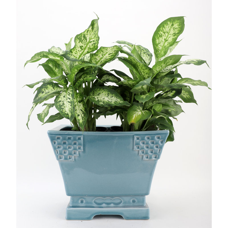 Handmade Ceramic Basin