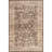 Cerise Floral Faded SplashGuard Machine Washable Area Rug-1436138105