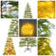 Arbre de Noël artificiel complet avec lumières DEL et base en métal